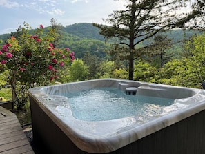 Newly added Artesian Spas SouthSeas hot tub located just off the deck offers amazing view both day and night!