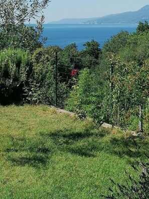 Boendeområde