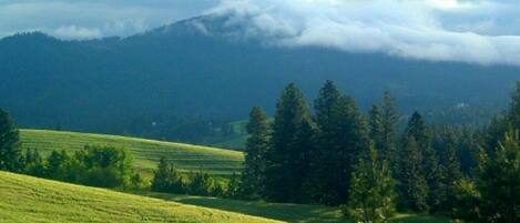 Springtime on the farm, from the front porch. Yup! Pretty beauteous!