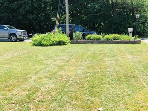 Backyard - Roadside