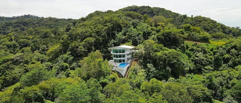 Beach House surrounded by tropical forest. 