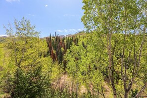 The forest is just out the back door