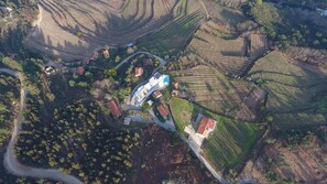 External view of the building. Outside view with a drone