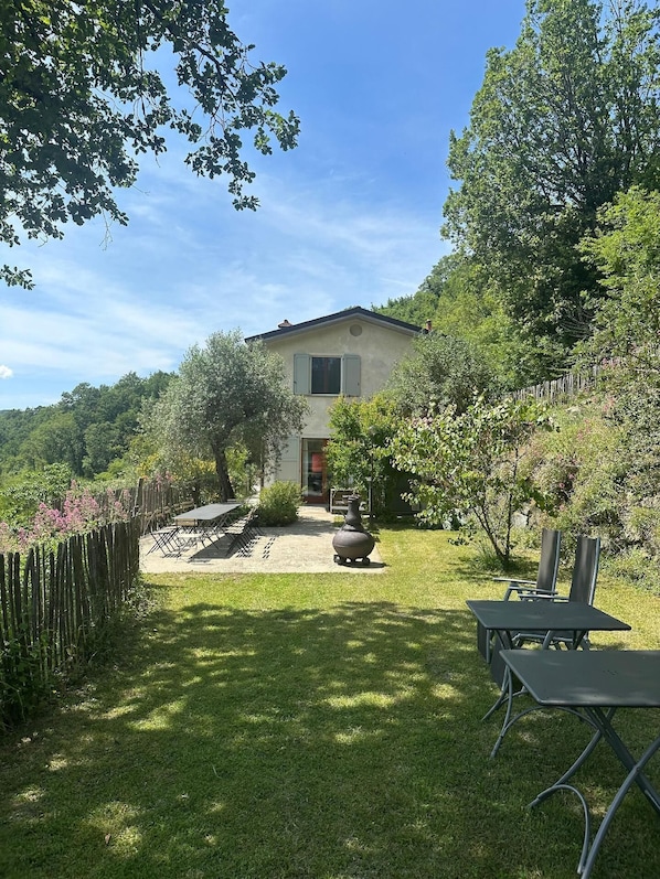 garden, side of house