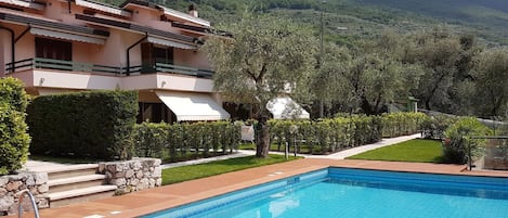 Esterno dell'edificio. Vista dalla piscina di Appartamenti Albatros