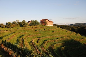Hisa Vina, Secluded in Private Vineyards