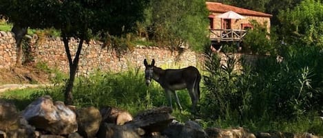 Parco della struttura