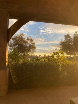 Ocean view from the front porch, daily cool trade winds.