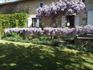 External view of the building. Wisteria in the enclosed back garden.