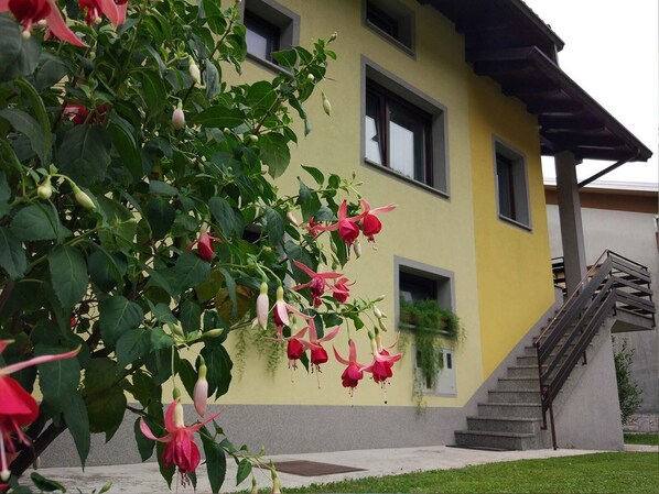 Detalle exterior