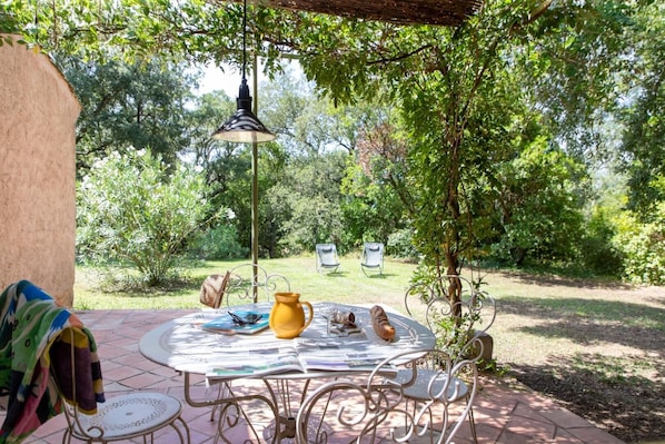 la terrasse et le parc