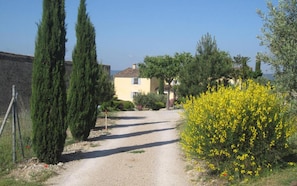 Photo 4