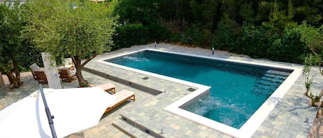 A 50m2 swimming pool with 4 massage places and swim jet (endless swimming) overlooking a forest.