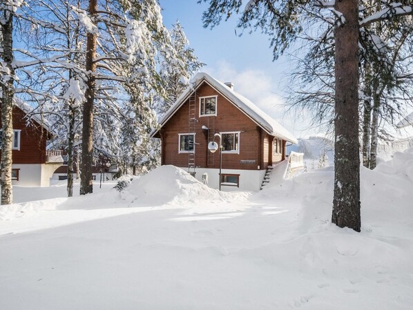 Exteriör