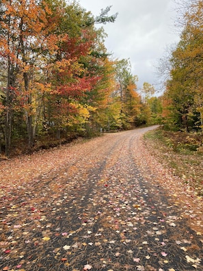 Breathtaking colors on the road to loon lake