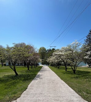 Tree lined drive to the house