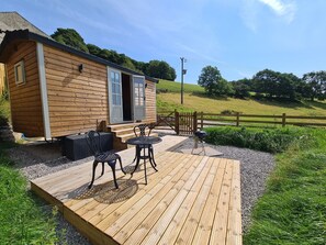 Shepherds Hut view/garden