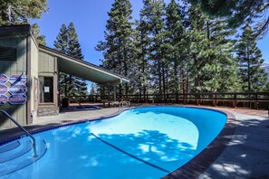 Hotel, Building, Resort, Tree, Fir