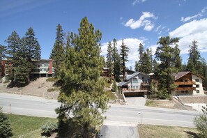 Tree, Fir, Road, Building, Outdoors