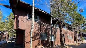 "Tree","Shelter","Outdoors","Nature","Building"