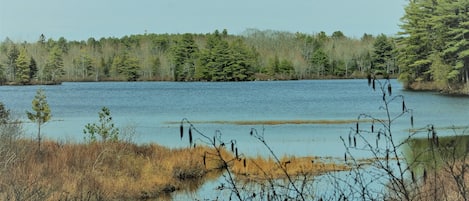 Somes Pond Island Cottage (804)