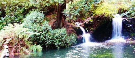 Waterfalls in fuller flow