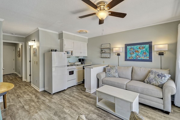 Living area/kitchen