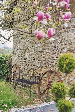 A bench below the tree at Half Moon Cottage, Devon