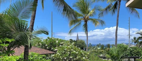 View from lanai