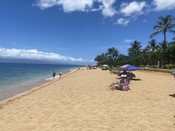 Beach across the street