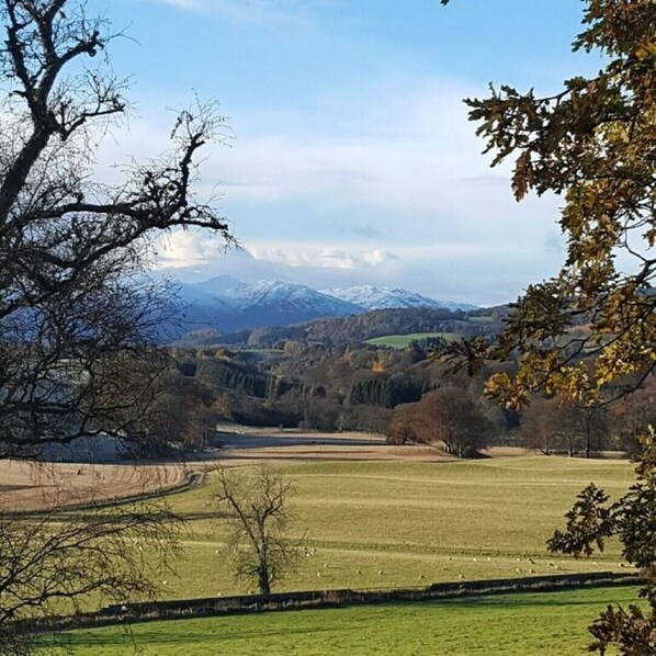 Countryside View