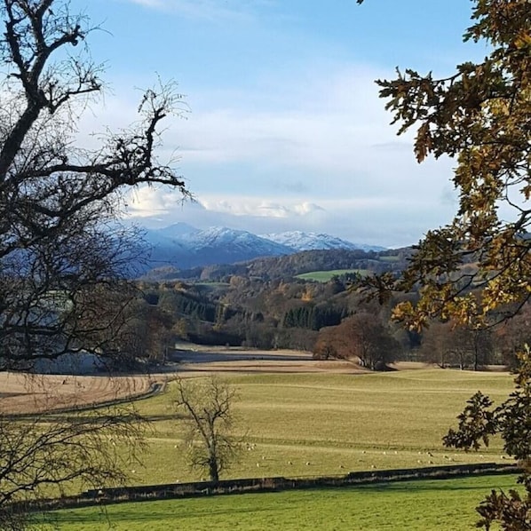 Countryside View