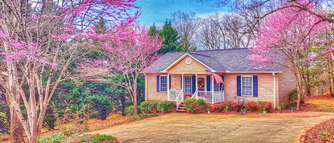 Cottage in early 
spring. Red bud trees blooming! 