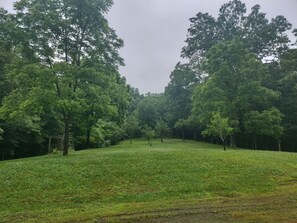 Forest driveway. 