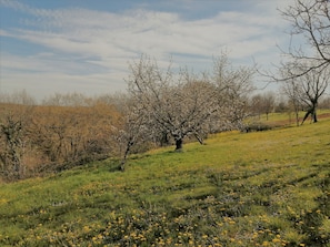 Parco della struttura