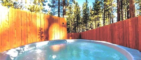 Jacuzzi and private backyard & completely fenced 