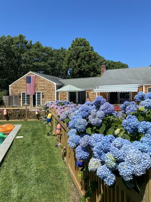 Backyard oasis.  *Being renovated for summer 2021.*