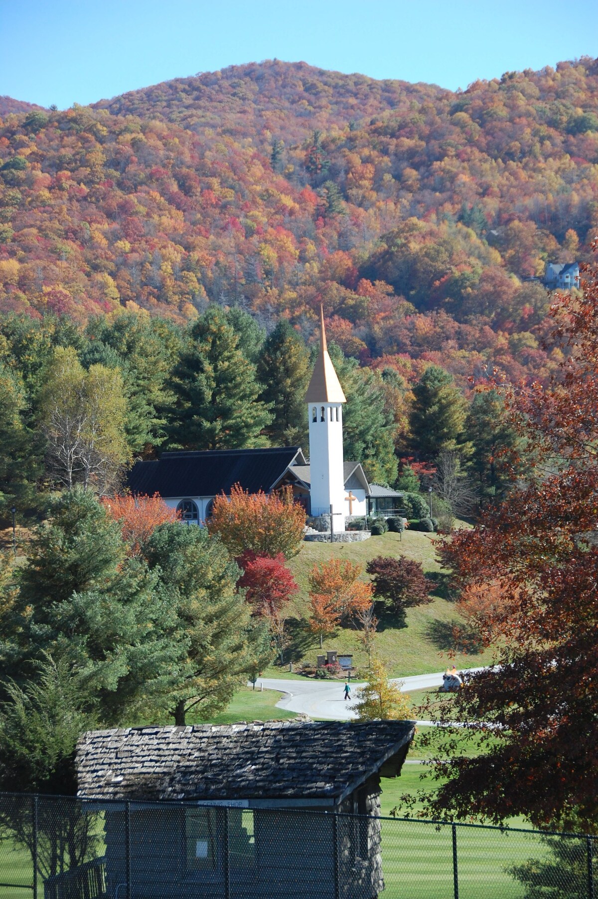 Main Image