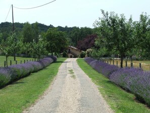 Boendeområde