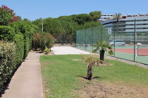 Sport court