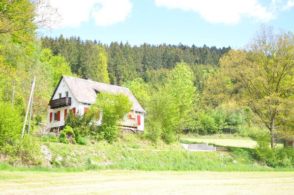 Exteriör