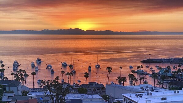 Start your morning with THIS view of the beautiful sunrise over Avalon Bay!