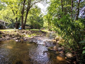 Stream Below the Cabin