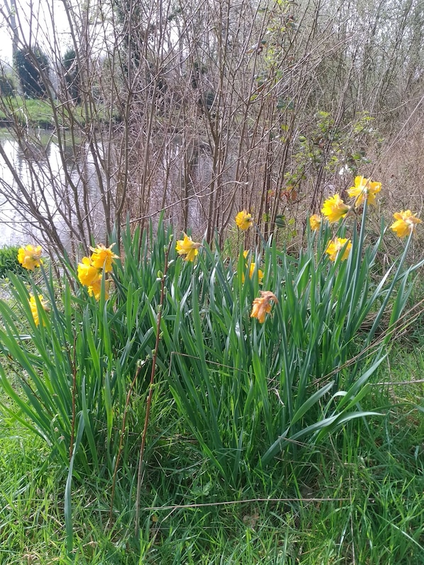 Jardines del alojamiento