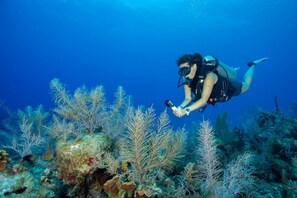 Local diving on your doorstep with Divetech