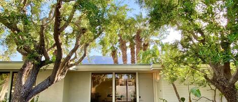 Las Cinco Palmas.  Your mid-century modern retreat in Palm Springs