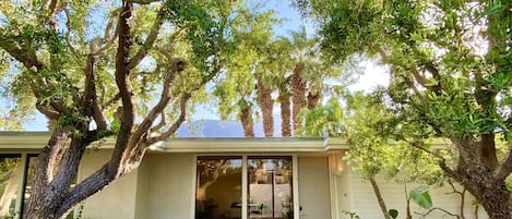 Las Cinco Palmas.  Your mid-century modern retreat in Palm Springs