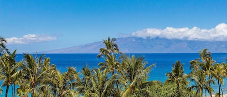 Vue sur la plage/l’océan