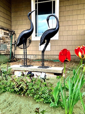 2 Herons