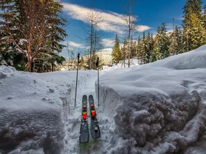 Ski In Ski Out